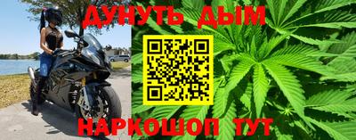 мяу мяу мука Лесосибирск